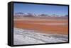 Laguna Colorada (Red Lagoon) Encrusted-Kim Walker-Framed Stretched Canvas