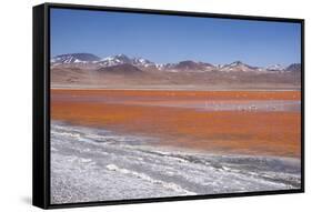 Laguna Colorada (Red Lagoon) Encrusted-Kim Walker-Framed Stretched Canvas