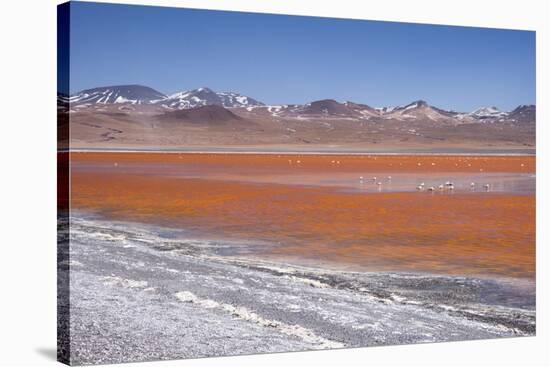 Laguna Colorada (Red Lagoon) Encrusted-Kim Walker-Stretched Canvas