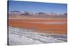 Laguna Colorada (Red Lagoon) Encrusted-Kim Walker-Stretched Canvas