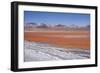 Laguna Colorada (Red Lagoon) Encrusted-Kim Walker-Framed Photographic Print