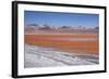 Laguna Colorada (Red Lagoon) Encrusted-Kim Walker-Framed Photographic Print