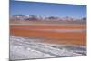 Laguna Colorada (Red Lagoon) Encrusted-Kim Walker-Mounted Photographic Print