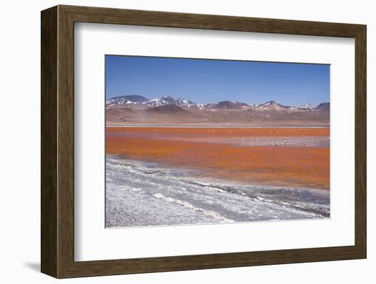 Laguna Colorada (Red Lagoon) Encrusted-Kim Walker-Framed Photographic Print