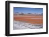 Laguna Colorada (Red Lagoon) Encrusted-Kim Walker-Framed Photographic Print