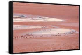 Laguna Colorada (Red Lake)-Kim Walker-Framed Stretched Canvas