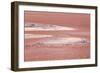 Laguna Colorada (Red Lake)-Kim Walker-Framed Photographic Print