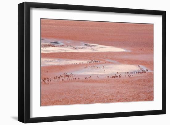 Laguna Colorada (Red Lake)-Kim Walker-Framed Photographic Print