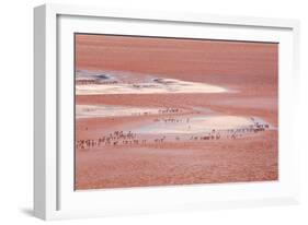 Laguna Colorada (Red Lake)-Kim Walker-Framed Photographic Print