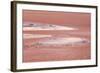 Laguna Colorada (Red Lake)-Kim Walker-Framed Photographic Print