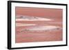 Laguna Colorada (Red Lake)-Kim Walker-Framed Photographic Print