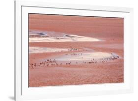 Laguna Colorada (Red Lake)-Kim Walker-Framed Photographic Print