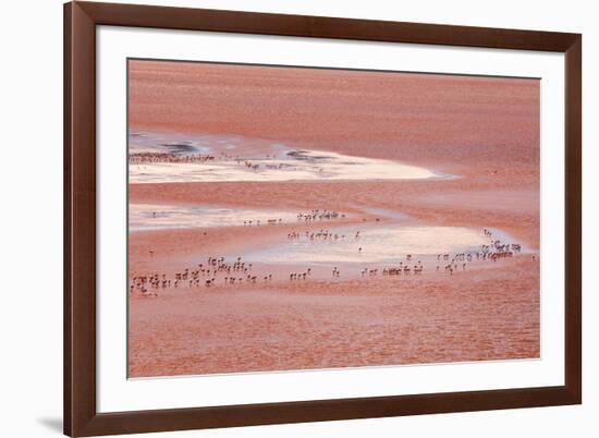 Laguna Colorada (Red Lake)-Kim Walker-Framed Photographic Print