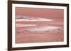 Laguna Colorada (Red Lake)-Kim Walker-Framed Photographic Print