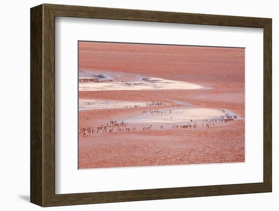 Laguna Colorada (Red Lake)-Kim Walker-Framed Photographic Print