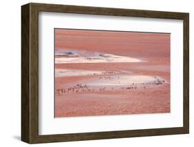 Laguna Colorada (Red Lake)-Kim Walker-Framed Photographic Print