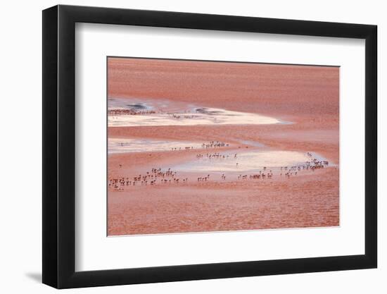 Laguna Colorada (Red Lake)-Kim Walker-Framed Photographic Print