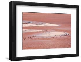 Laguna Colorada (Red Lake)-Kim Walker-Framed Photographic Print