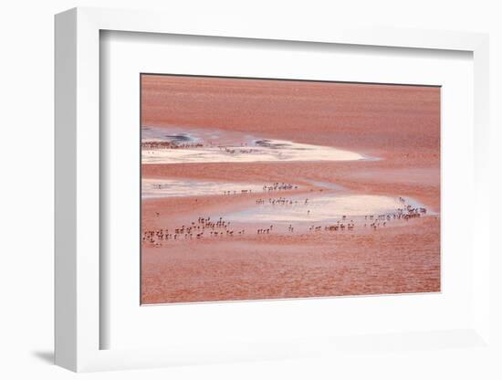 Laguna Colorada (Red Lake)-Kim Walker-Framed Photographic Print