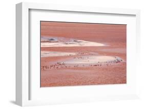 Laguna Colorada (Red Lake)-Kim Walker-Framed Photographic Print