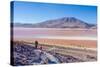 Laguna Colorada, Reserva Nacional De Fauna Andina Eduardo Avaroa, Los Lipez, Bolivia-Elzbieta Sekowska-Stretched Canvas