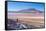 Laguna Colorada, Reserva Nacional De Fauna Andina Eduardo Avaroa, Los Lipez, Bolivia-Elzbieta Sekowska-Framed Stretched Canvas