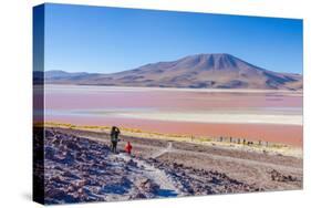 Laguna Colorada, Reserva Nacional De Fauna Andina Eduardo Avaroa, Los Lipez, Bolivia-Elzbieta Sekowska-Stretched Canvas