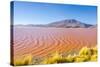 Laguna Colorada, Reserva Nacional De Fauna Andina Eduardo Avaroa, Los Lipez, Bolivia-Elzbieta Sekowska-Stretched Canvas