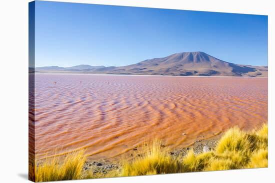 Laguna Colorada, Reserva Nacional De Fauna Andina Eduardo Avaroa, Los Lipez, Bolivia-Elzbieta Sekowska-Stretched Canvas