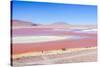 Laguna Colorada, Reserva Nacional De Fauna Andina Eduardo Avaroa, Los Lipez, Bolivia-Elzbieta Sekowska-Stretched Canvas