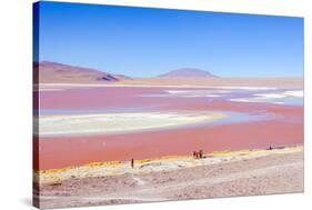 Laguna Colorada, Reserva Nacional De Fauna Andina Eduardo Avaroa, Los Lipez, Bolivia-Elzbieta Sekowska-Stretched Canvas