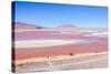 Laguna Colorada, Reserva Nacional De Fauna Andina Eduardo Avaroa, Los Lipez, Bolivia-Elzbieta Sekowska-Stretched Canvas