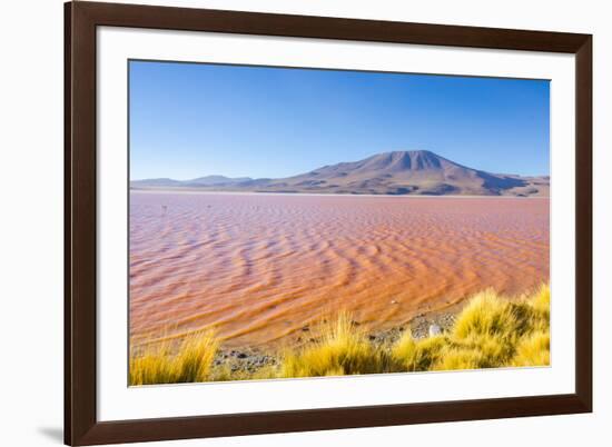 Laguna Colorada, Reserva Nacional De Fauna Andina Eduardo Avaroa, Los Lipez, Bolivia-Elzbieta Sekowska-Framed Photographic Print