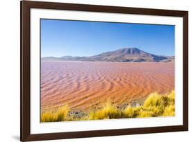 Laguna Colorada, Reserva Nacional De Fauna Andina Eduardo Avaroa, Los Lipez, Bolivia-Elzbieta Sekowska-Framed Photographic Print