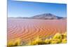 Laguna Colorada, Reserva Nacional De Fauna Andina Eduardo Avaroa, Los Lipez, Bolivia-Elzbieta Sekowska-Mounted Photographic Print