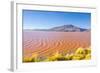 Laguna Colorada, Reserva Nacional De Fauna Andina Eduardo Avaroa, Los Lipez, Bolivia-Elzbieta Sekowska-Framed Photographic Print