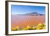 Laguna Colorada, Reserva Nacional De Fauna Andina Eduardo Avaroa, Los Lipez, Bolivia-Elzbieta Sekowska-Framed Photographic Print