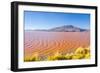 Laguna Colorada, Reserva Nacional De Fauna Andina Eduardo Avaroa, Los Lipez, Bolivia-Elzbieta Sekowska-Framed Photographic Print