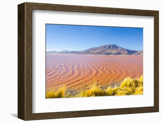 Laguna Colorada, Reserva Nacional De Fauna Andina Eduardo Avaroa, Los Lipez, Bolivia-Elzbieta Sekowska-Framed Photographic Print