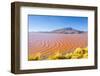 Laguna Colorada, Reserva Nacional De Fauna Andina Eduardo Avaroa, Los Lipez, Bolivia-Elzbieta Sekowska-Framed Photographic Print