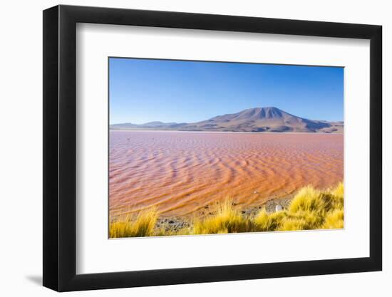 Laguna Colorada, Reserva Nacional De Fauna Andina Eduardo Avaroa, Los Lipez, Bolivia-Elzbieta Sekowska-Framed Photographic Print