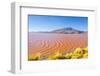 Laguna Colorada, Reserva Nacional De Fauna Andina Eduardo Avaroa, Los Lipez, Bolivia-Elzbieta Sekowska-Framed Photographic Print