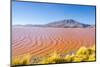 Laguna Colorada, Reserva Nacional De Fauna Andina Eduardo Avaroa, Los Lipez, Bolivia-Elzbieta Sekowska-Mounted Photographic Print