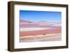 Laguna Colorada, Reserva Nacional De Fauna Andina Eduardo Avaroa, Los Lipez, Bolivia-Elzbieta Sekowska-Framed Photographic Print