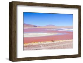 Laguna Colorada, Reserva Nacional De Fauna Andina Eduardo Avaroa, Los Lipez, Bolivia-Elzbieta Sekowska-Framed Photographic Print