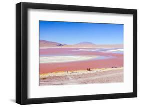 Laguna Colorada, Reserva Nacional De Fauna Andina Eduardo Avaroa, Los Lipez, Bolivia-Elzbieta Sekowska-Framed Photographic Print