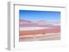 Laguna Colorada, Reserva Nacional De Fauna Andina Eduardo Avaroa, Los Lipez, Bolivia-Elzbieta Sekowska-Framed Photographic Print