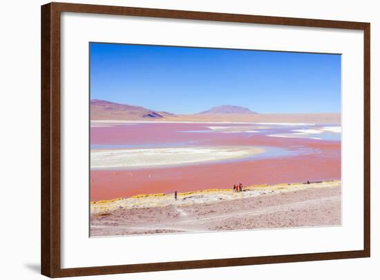 Laguna Colorada, Reserva Nacional De Fauna Andina Eduardo Avaroa, Los Lipez, Bolivia-Elzbieta Sekowska-Framed Photographic Print