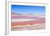 Laguna Colorada, Reserva Nacional De Fauna Andina Eduardo Avaroa, Los Lipez, Bolivia-Elzbieta Sekowska-Framed Photographic Print