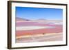 Laguna Colorada, Reserva Nacional De Fauna Andina Eduardo Avaroa, Los Lipez, Bolivia-Elzbieta Sekowska-Framed Photographic Print